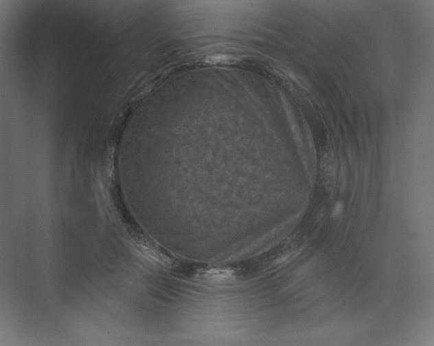 X0000074010554200609061052