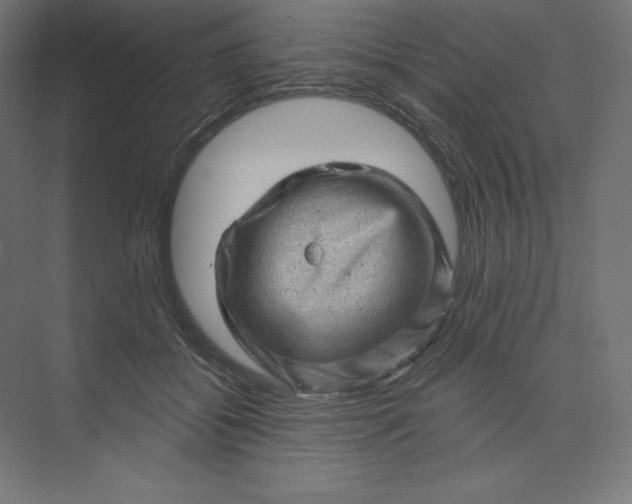 X0000074010556200609061052