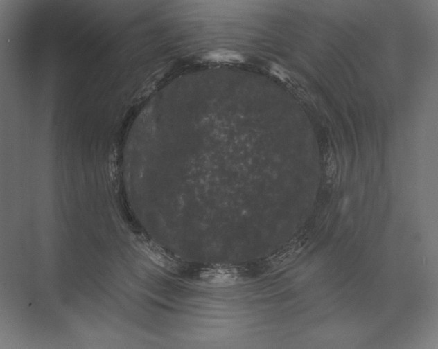 X0000074010559200609061052