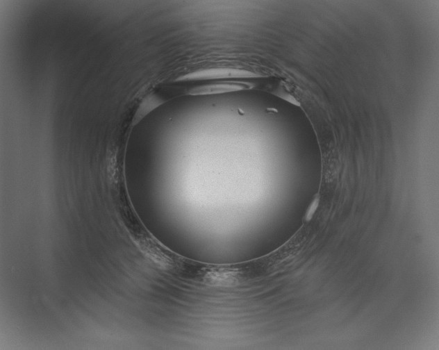 X0000074010560200609061052