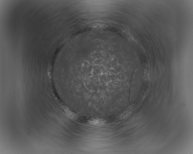 X0000074010561200609061052