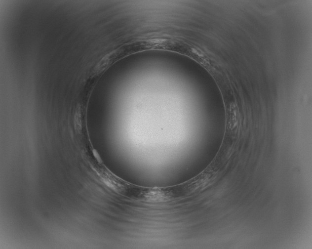 X0000074010562200609061052