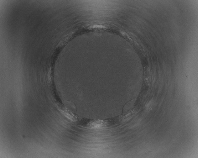 X0000074010563200609061052