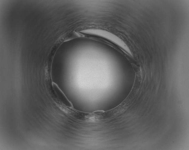 X0000074010564200609061052