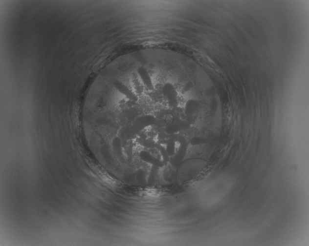 X0000074010565200609061052