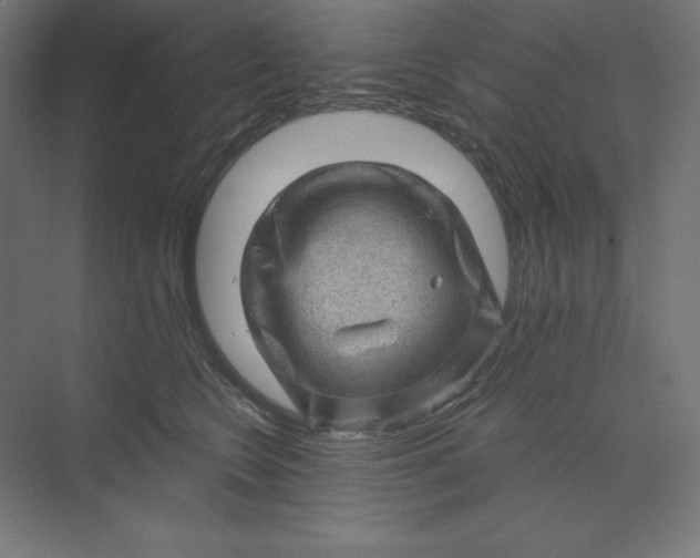 X0000074010566200609061052