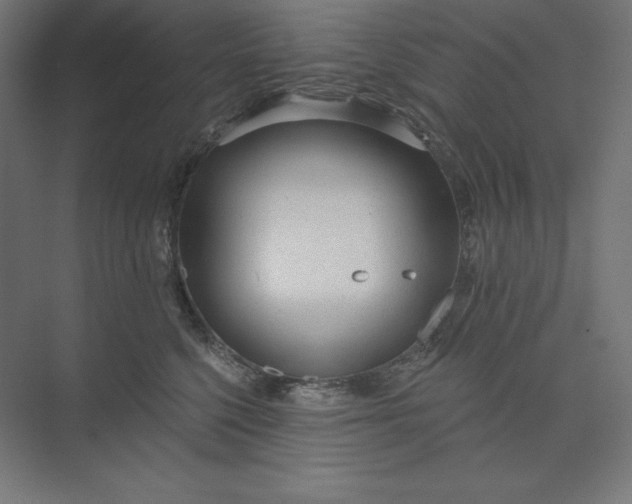 X0000074010568200609061052