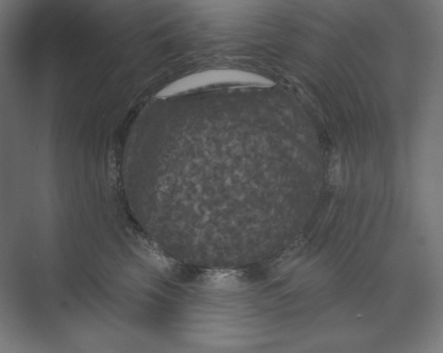 X0000074010569200609061052