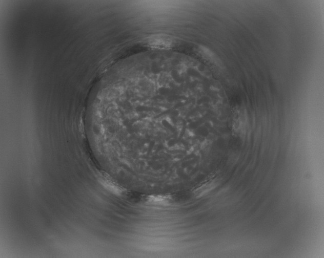 X0000074010573200609061053