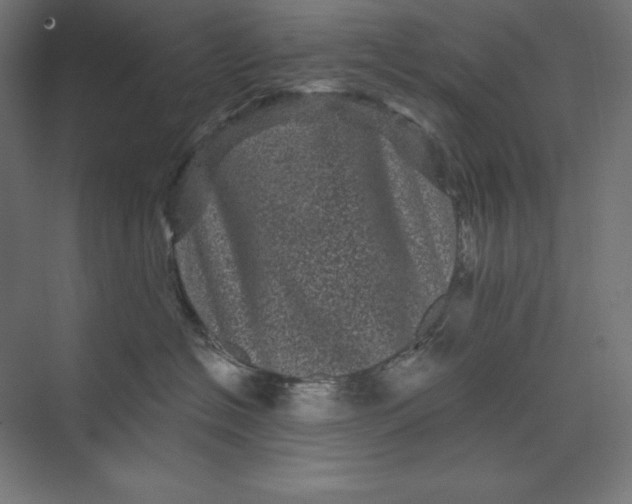 X0000074010574200609061053