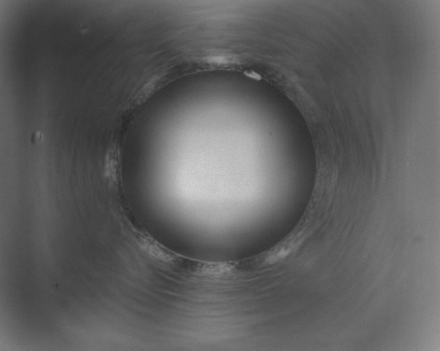 X0000074010576200609061053