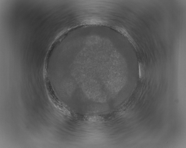 X0000074010579200609061052