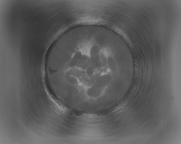 X0000074010582200609061052