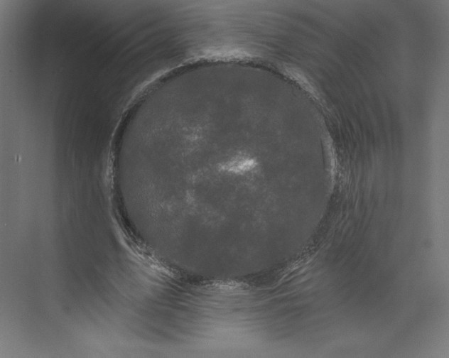 X0000074010583200609061052