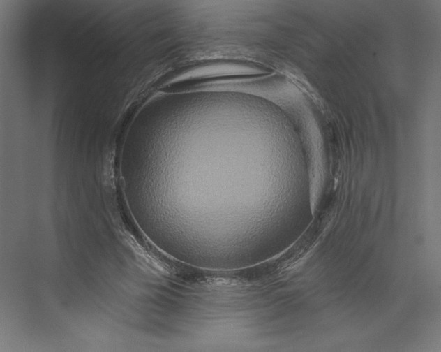 X0000074010585200609061052