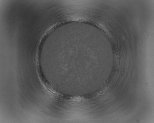 X0000074010587200609061052