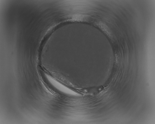 X0000074010588200609061052