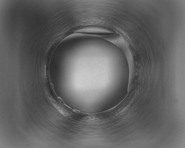 X0000074010589200609061052