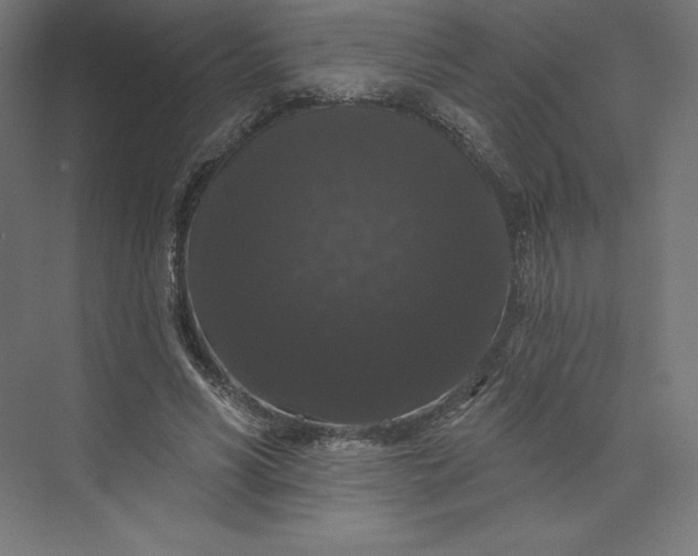 X0000074010590200609061052