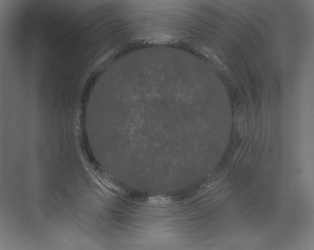 X0000074010591200609061052