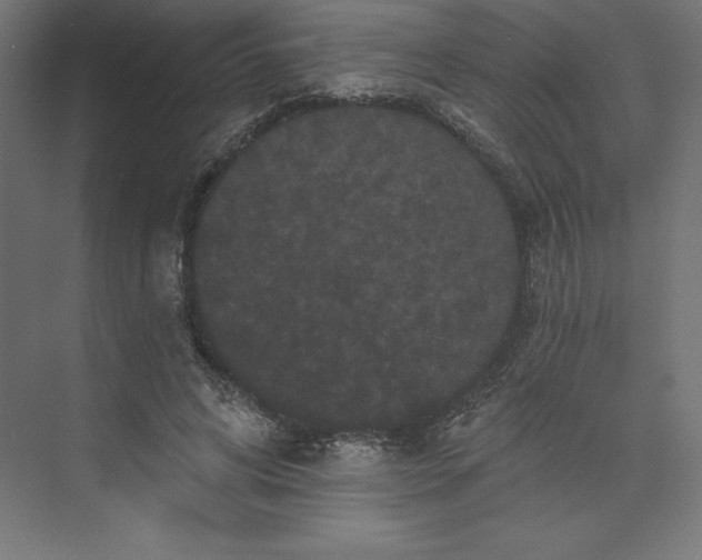 X0000074010592200609061052