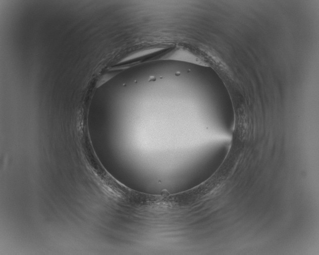 X0000074010593200609061051