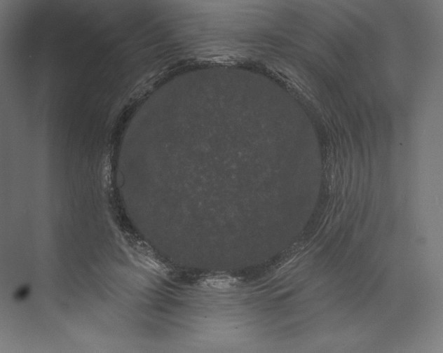 X0000074010595200609061051