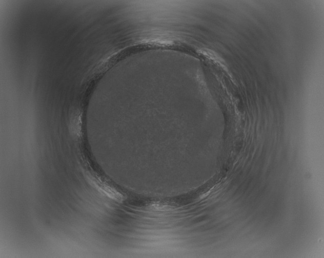 X0000074010596200609061051