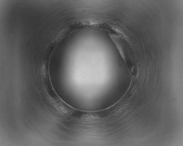 X0000074010597200609061051