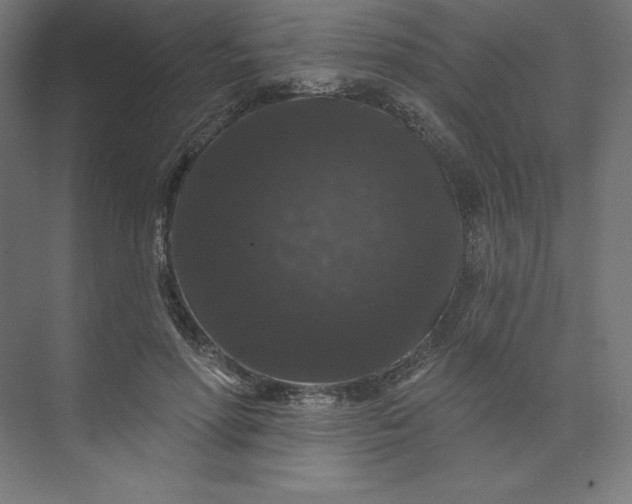 X0000074010598200609061051