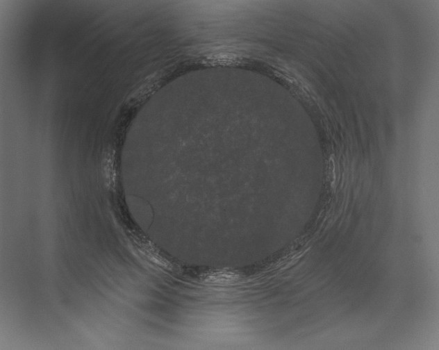 X0000074010599200609061051