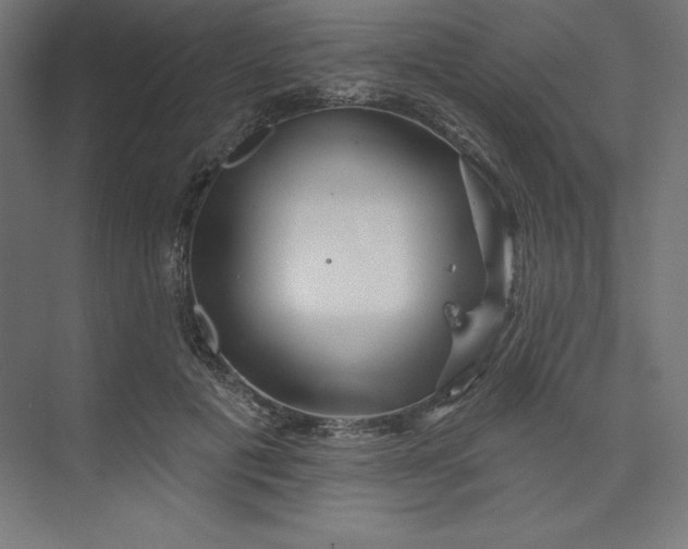 X0000074010601200609061051