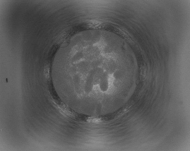 X0000074010602200609061051