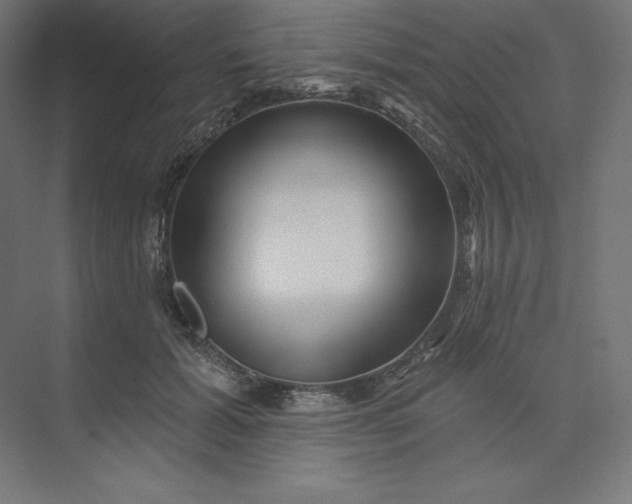 X0000074010605200609061051