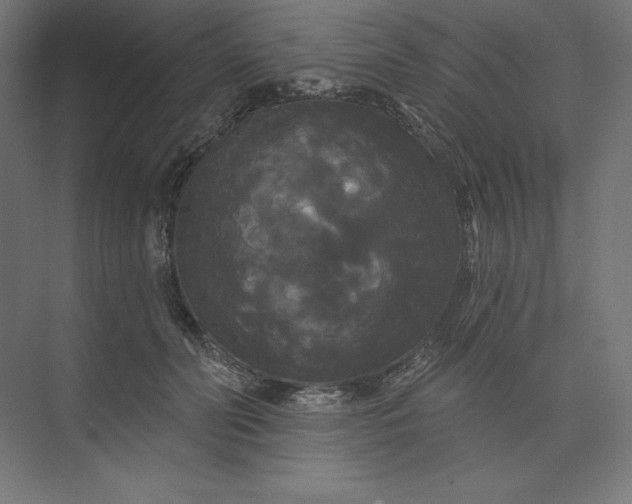 X0000074010606200609061051