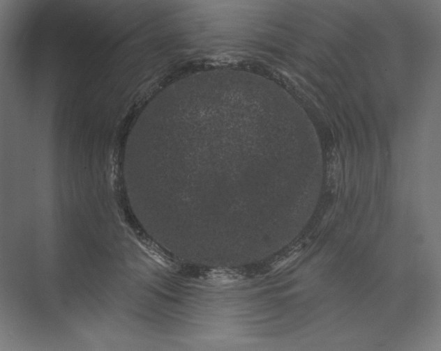 X0000074010608200609061051