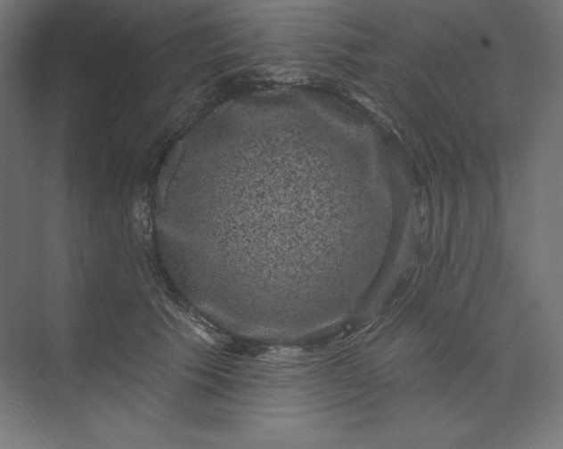 X0000074010609200609061051