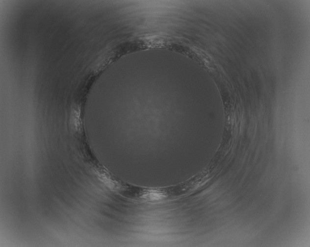 X0000074010610200609061051