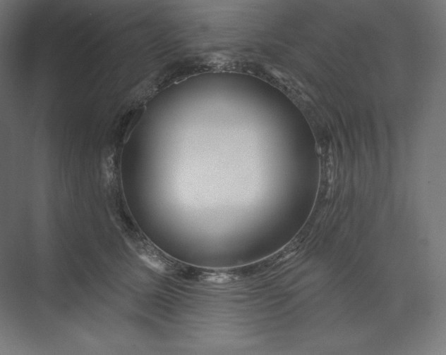 X0000074010611200609061051