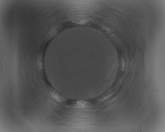 X0000074010612200609061051