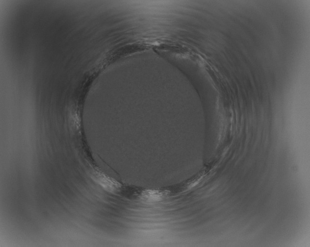 X0000074010613200609061051