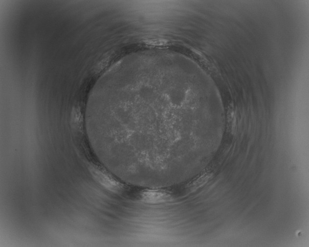 X0000074010614200609061051