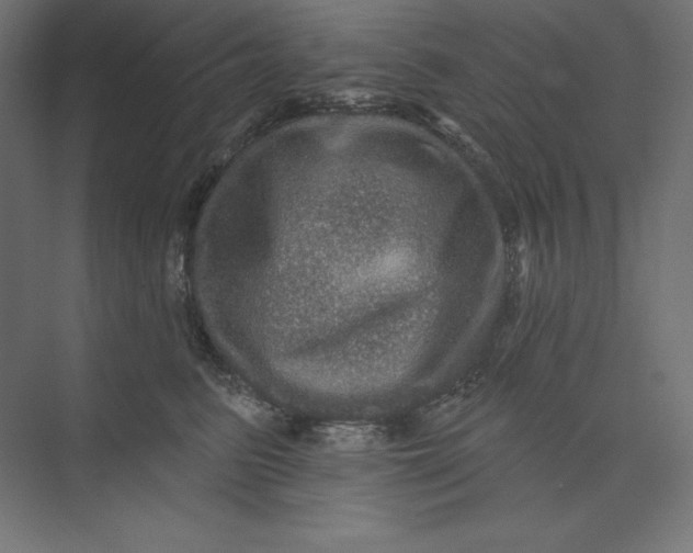 X0000074010615200609061051