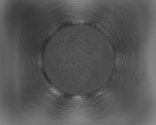 X0000074010616200609061051