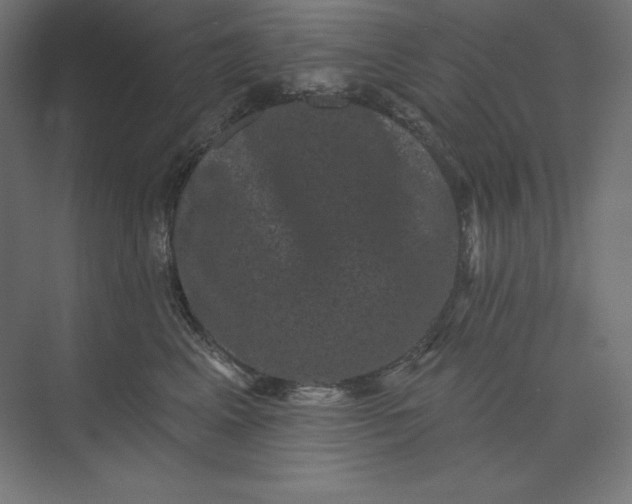 X0000074010617200609061051