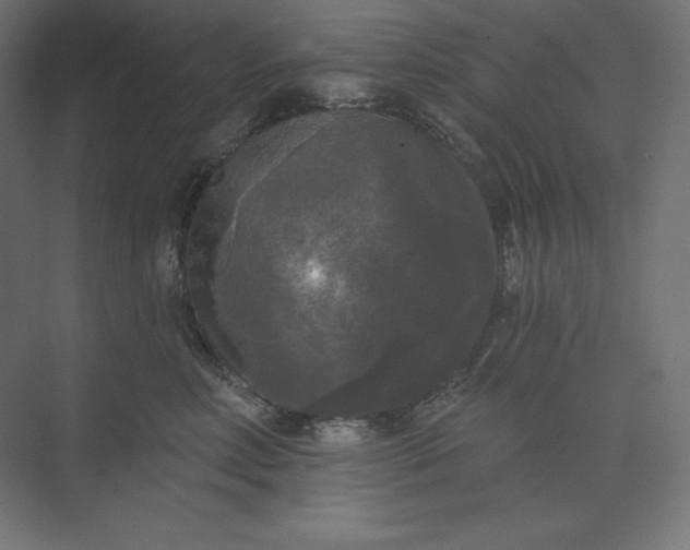 X0000074010618200609061051