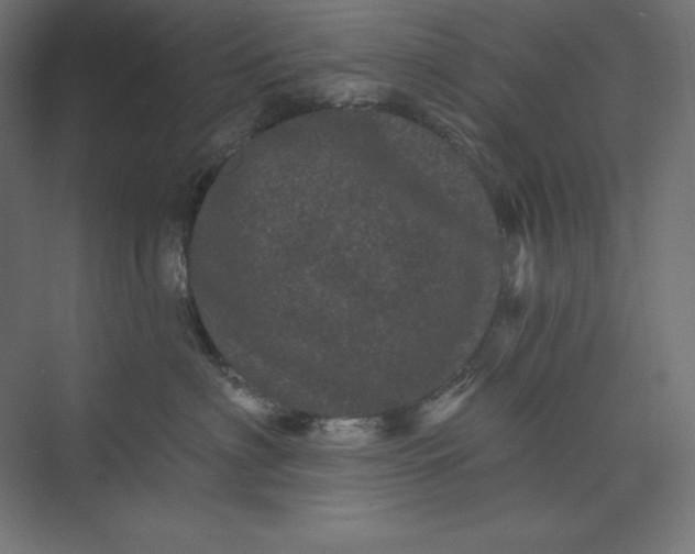 X0000074010622200609061051