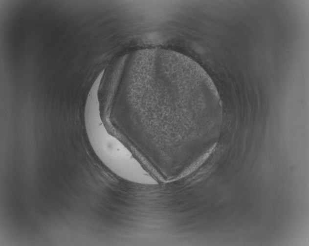 X0000074010624200609061051