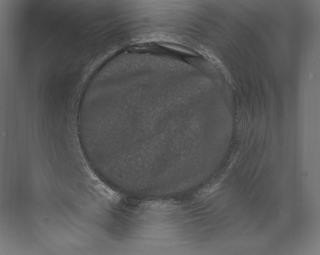 X0000074010625200609061050