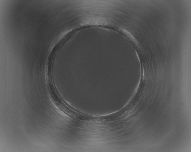 X0000074010627200609061050